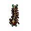 centipede