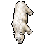 polar bear