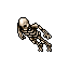 skeleton