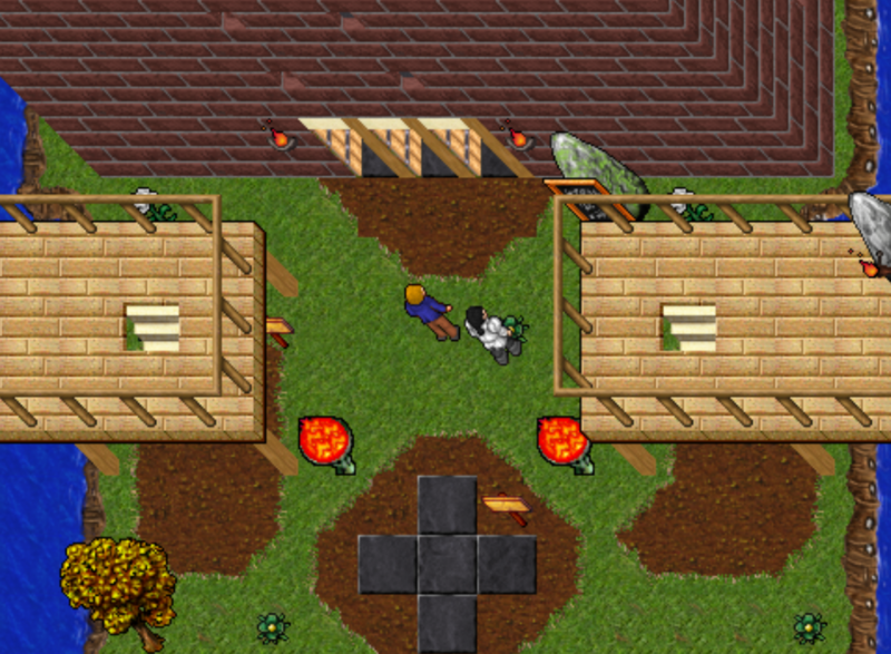 Training Hall — Boost Your Skills with Training Tokens
