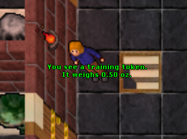 Training token description